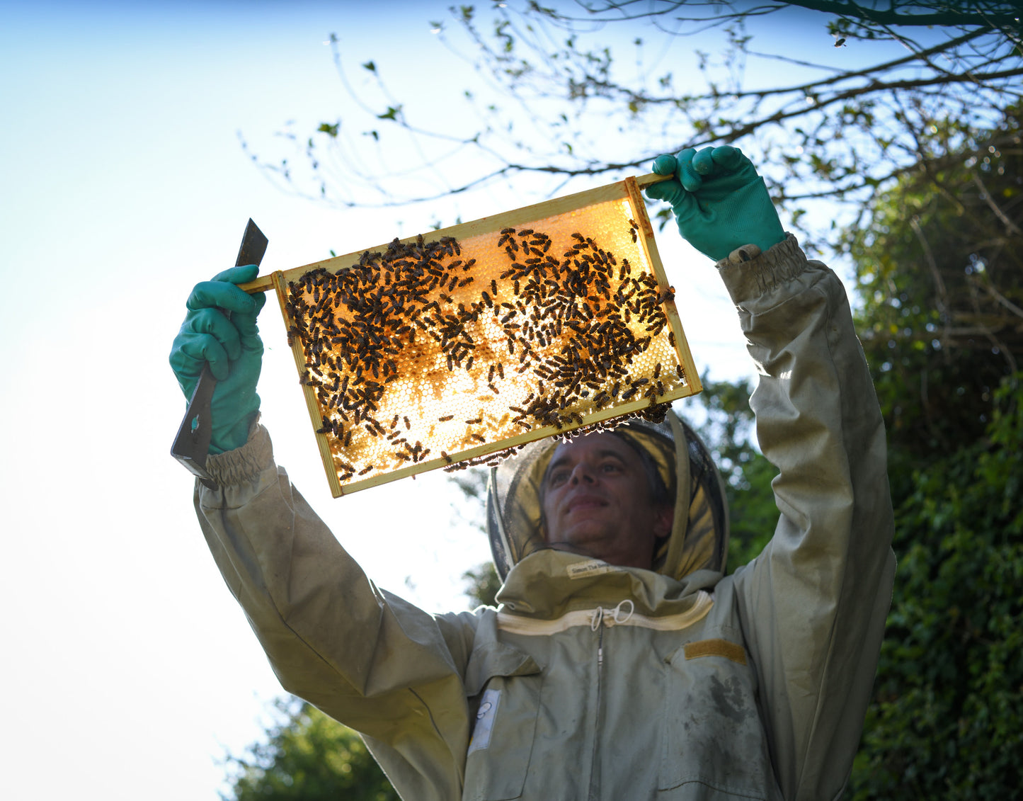 Hella Hot Honey image 7