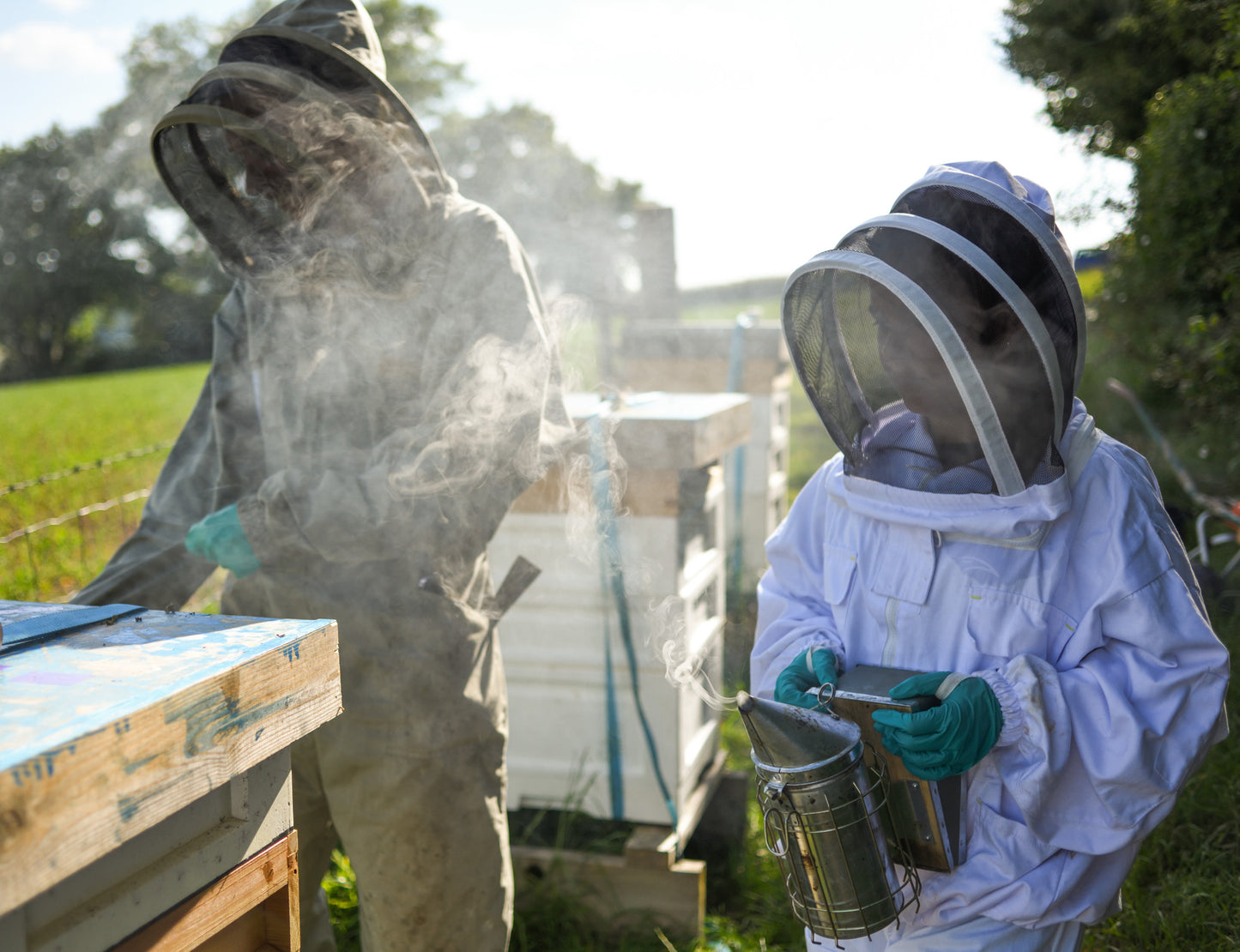 Pure English honey image 1