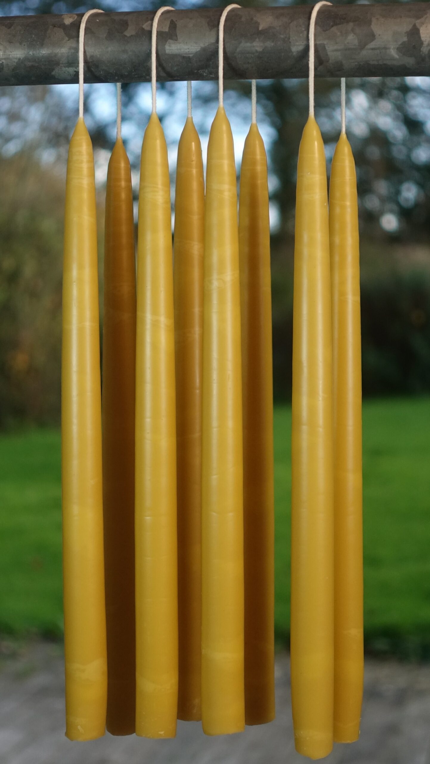 8 hand dipped beeswax candles with honey image 3