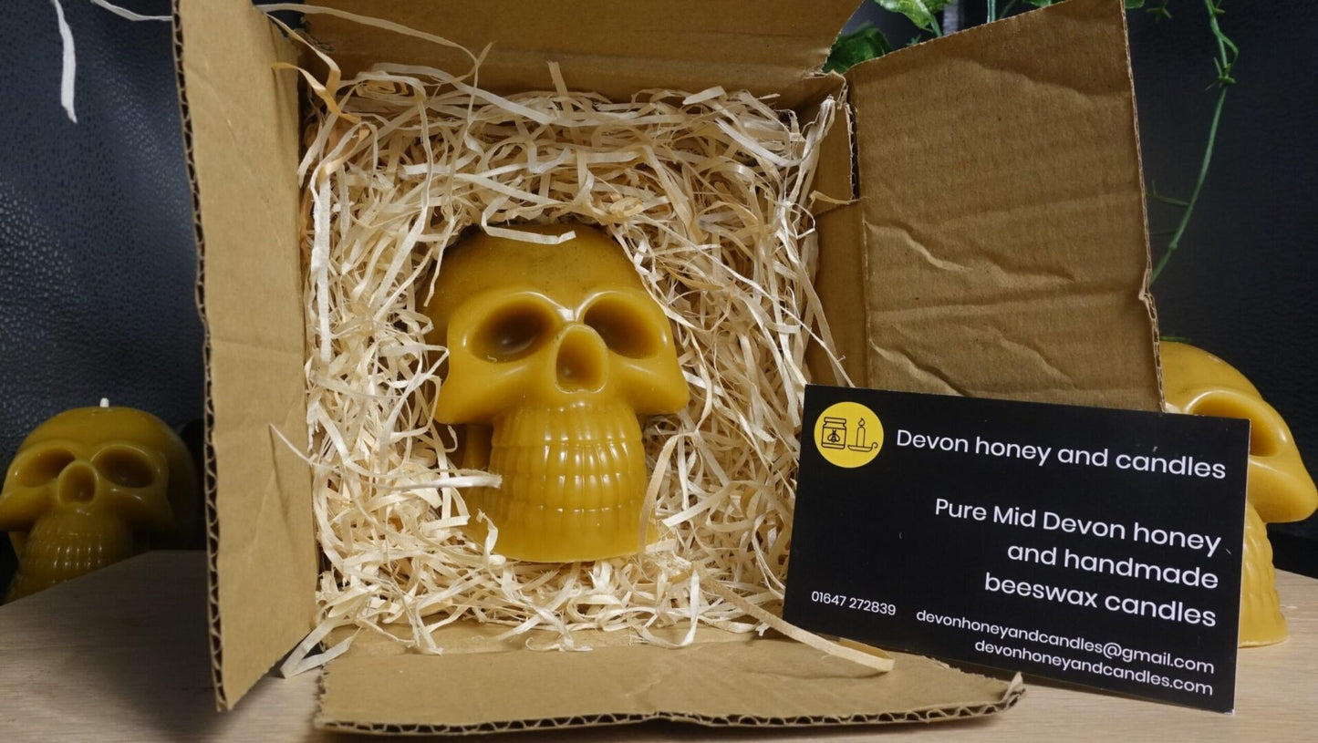 skull candle image 0