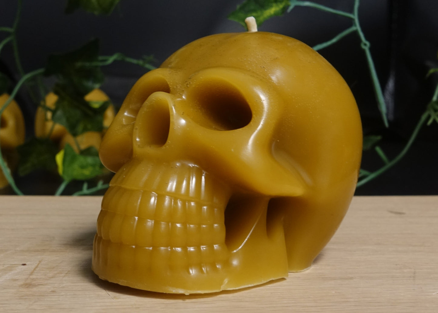 skull candle image 2